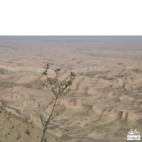 گزارش سفر رکابزنی ترکمن صحرا- بهار 1402
